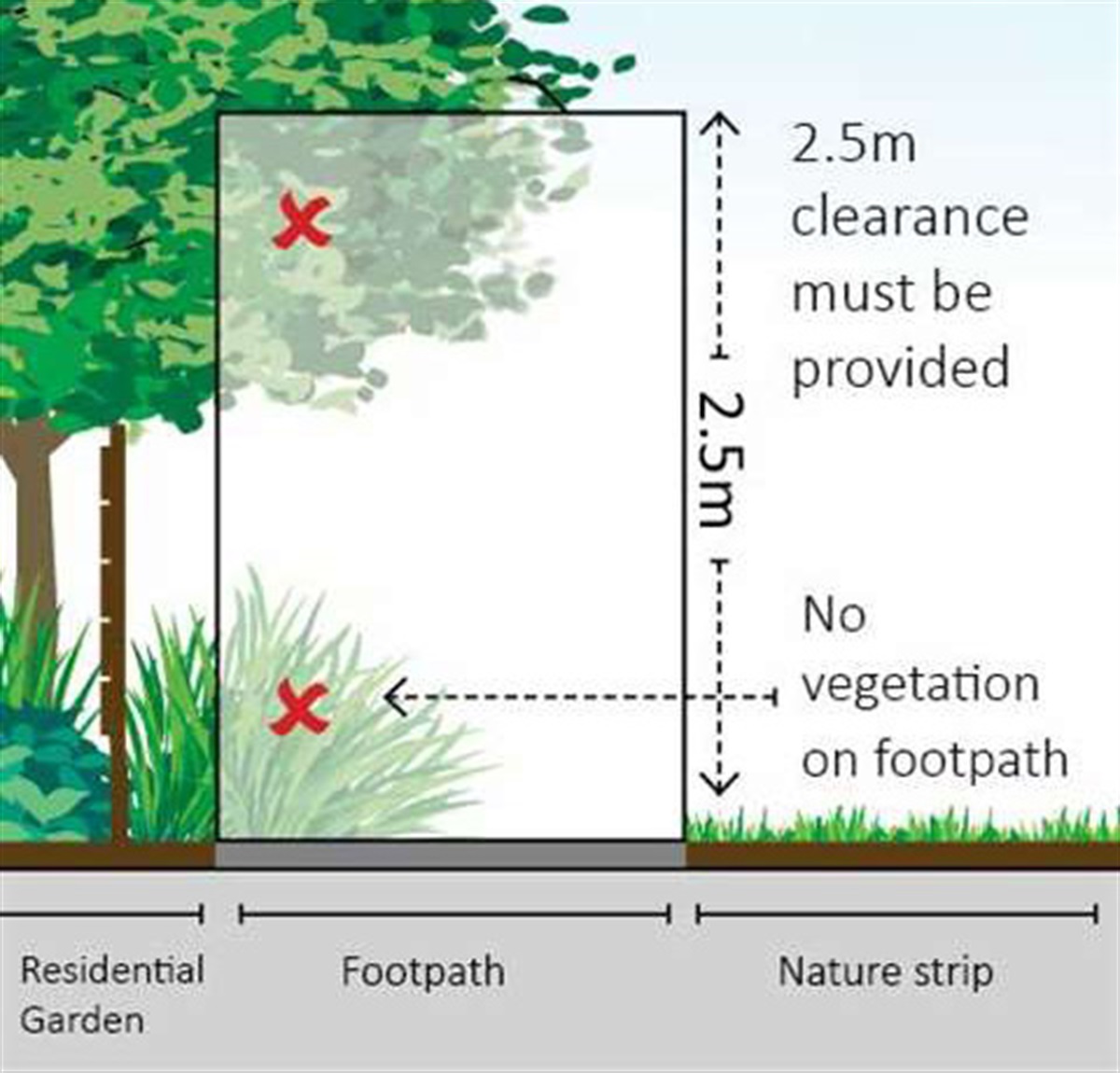 overhanging-vegetation-city-of-monash