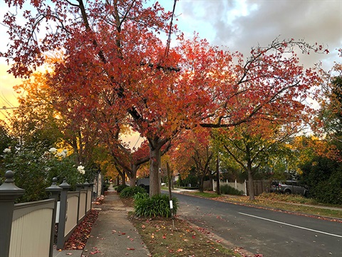 Footpaths In My Area Footpaths | City Of Monash