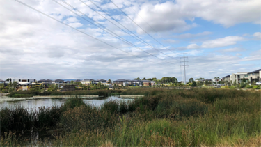 Waverley Estate Park wetlands landscape 2