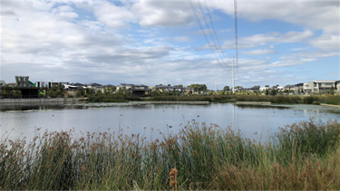 Waverley Estate Park wetlands landscape 4