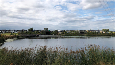 Waverley Estate Park wetlands landscape 5