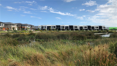 Waverley Estate Park wetlands landscape 6