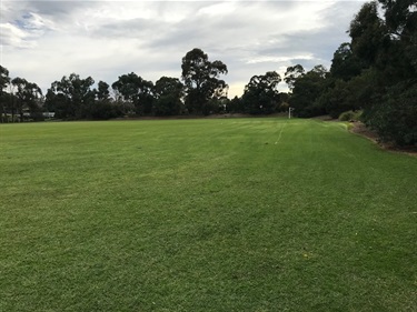 Ashwood Reserve open space