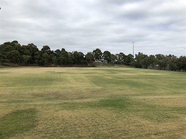 Scotchmans Run Reserve dog off-leash area