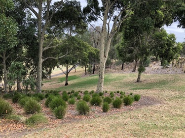 Scotchmans Run Reserve dog off-leash area