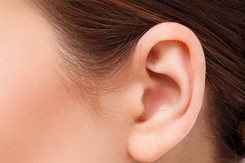 Ear closeup