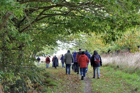 Group of people walking