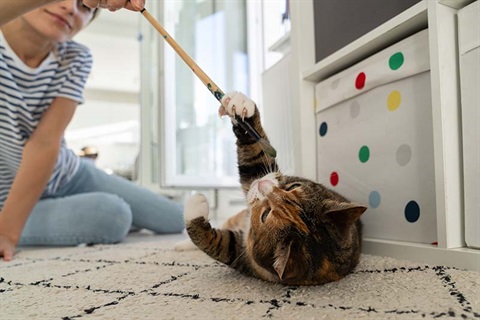 Young female owner plays with her cat