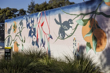 Carlson Reserve Side by Side mural roadside view