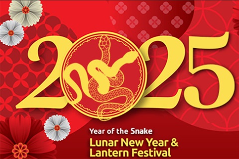 Lunar New Year and Lantern Festival 2025