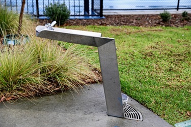 Carlson Reserve drinking fountain