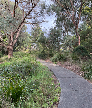 Queens Parade Reserve walking track