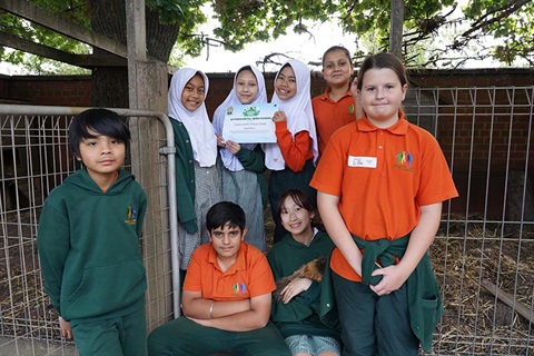 Raised Chickens and Sold Eggs Clayton North Primary School