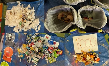 Waste Audit - St Leonard's Catholic Primary School