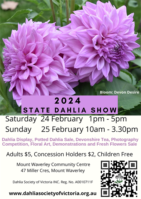 2024-Show-poster-w-devon-desire-Sunday-closing-time-330pm