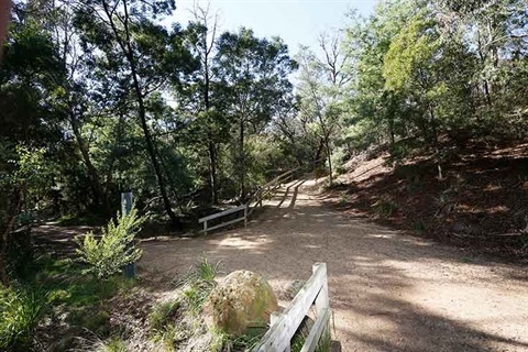 damper-creek-reserve-shared-pathway-2