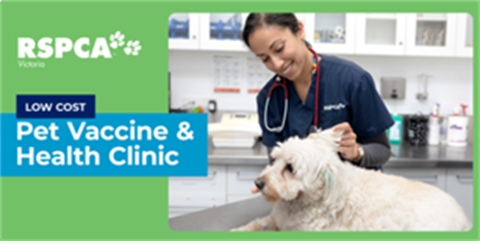 RSPCA-image-for-pet-clinics