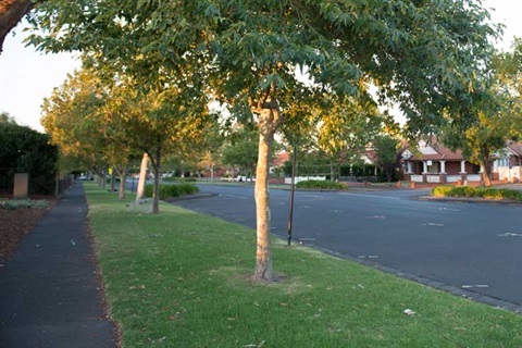 atkinson-street-oakleigh.jpg