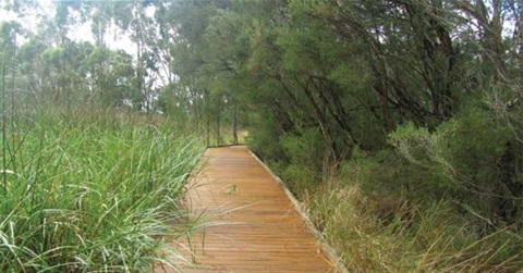 mulgrave-reserve-walking-path.jpg