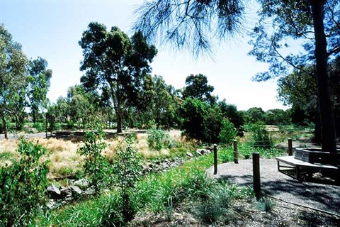 scotchmans-creek-reserve-shared-pathway-creek.jpg