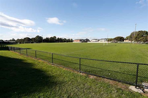 Carlson Reserve - Oval