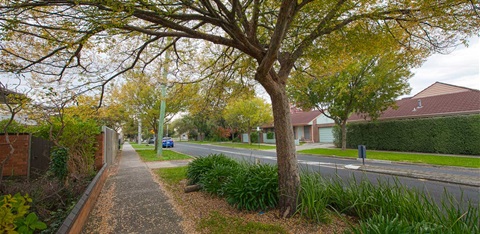 Monash street trees